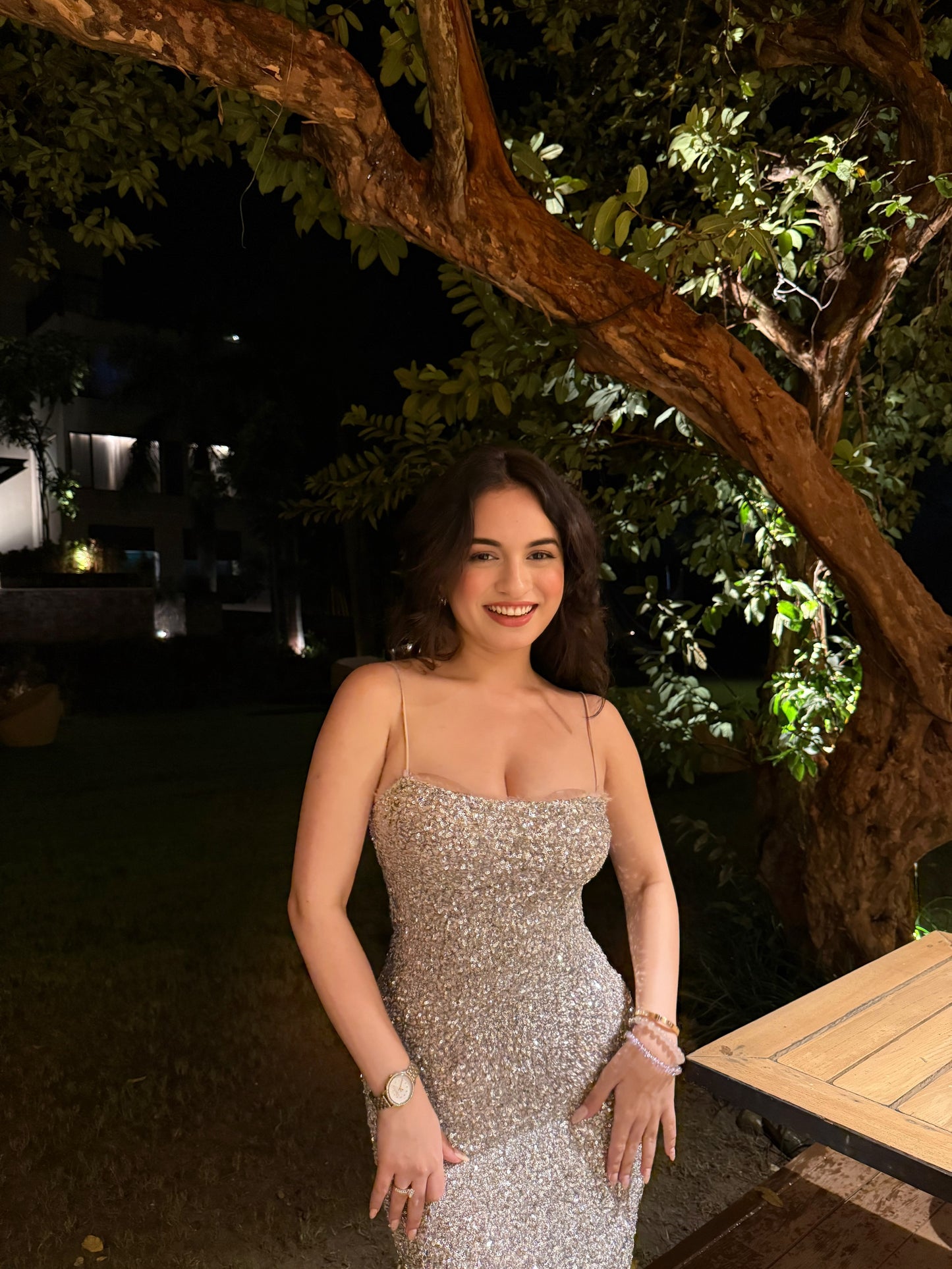 Celine silver gown