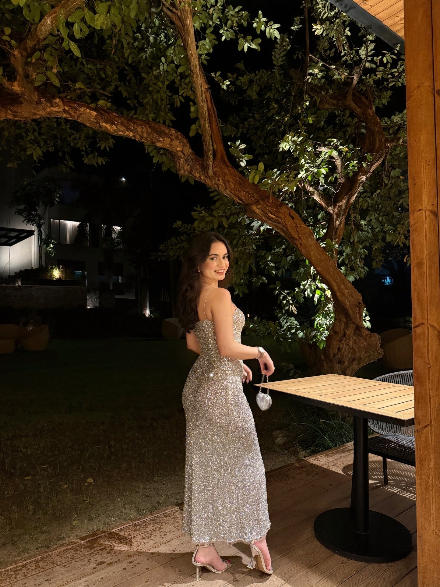 Celine silver gown