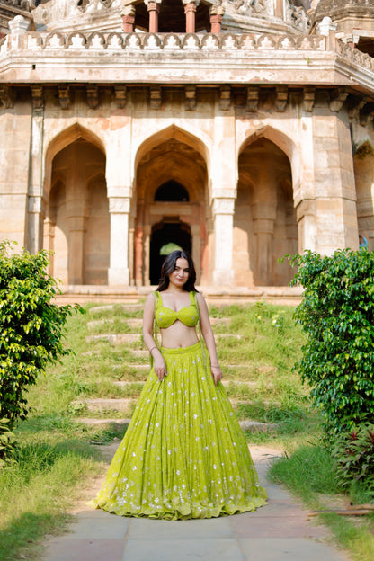 Lehra Lime Blossom Mirror Lehenga Set ✨