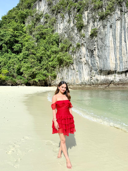 Imagine by Shiwali Casey red dress shown on a model, featuring a fitted silhouette and stylish design for casual or formal wear.