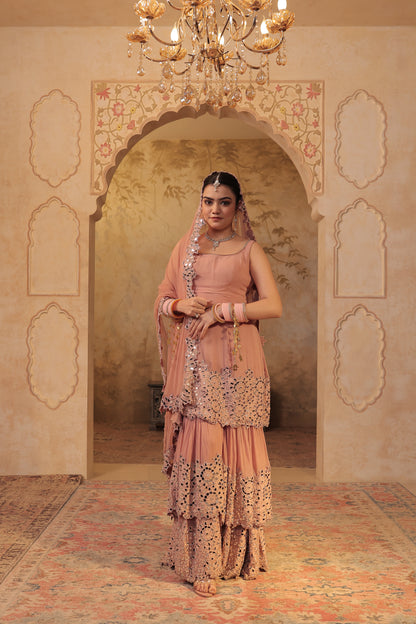 Madhubala mirrorwork sharara set by Imagine By Shiwali, featuring intricate mirror embroidery and traditional design.
