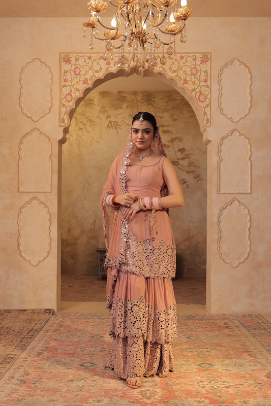 Madhubala mirrorwork sharara set by Imagine By Shiwali, featuring intricate mirror embroidery and traditional design.