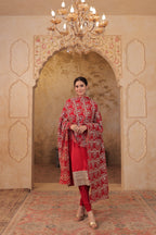 Red Rani silk suit by Imagine By Shiwali featuring intricate embroidery and traditional design, displayed on a mannequin.
