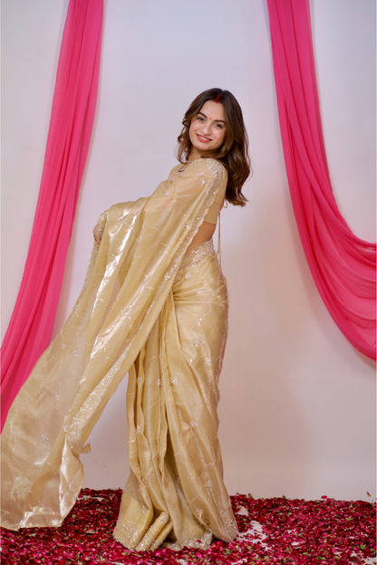 Golden Reva saree by Imagine By Shiwali featuring intricate embroidery and elegant draping, displayed on a mannequin.