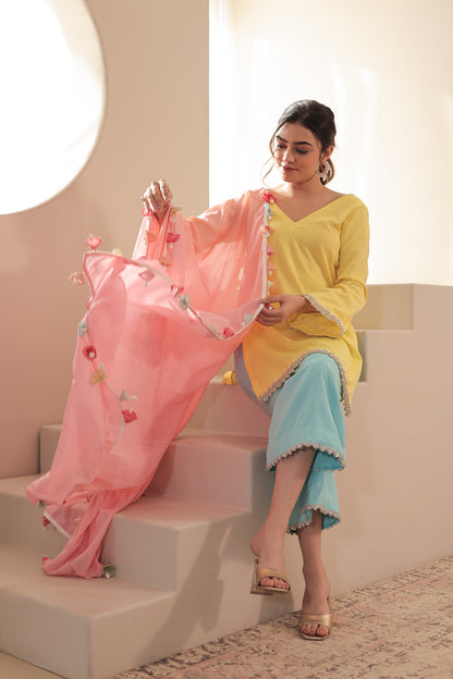 Imagine By Shiwali Taara 3 Colour Straight Suit featuring vibrant fabrics and a sleek, tailored fit.