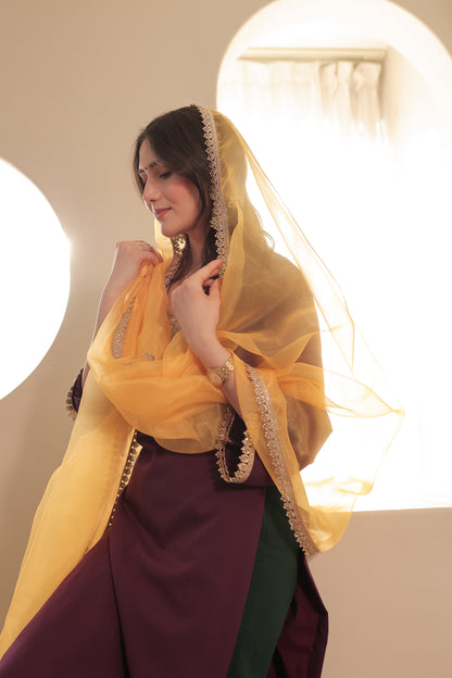 Imagine By Shiwali Taara 3-color straight suit in vibrant fabrics, featuring a sleek, modern design and elegant tailored fit.